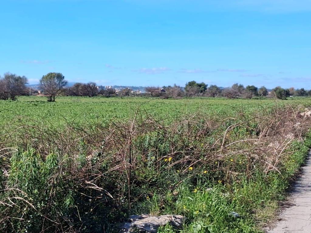 terreno agricolo in vendita ad Augusta
