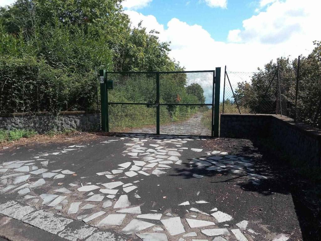 negozio in vendita a Milo