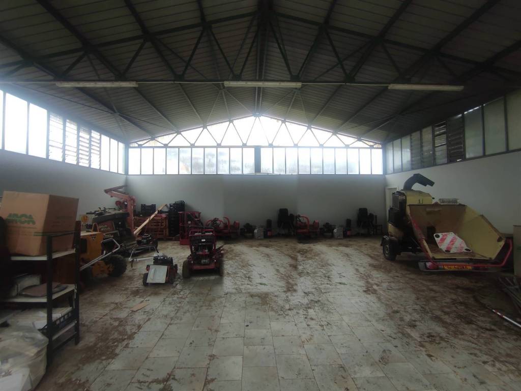 immagine annuncio 2 di 4