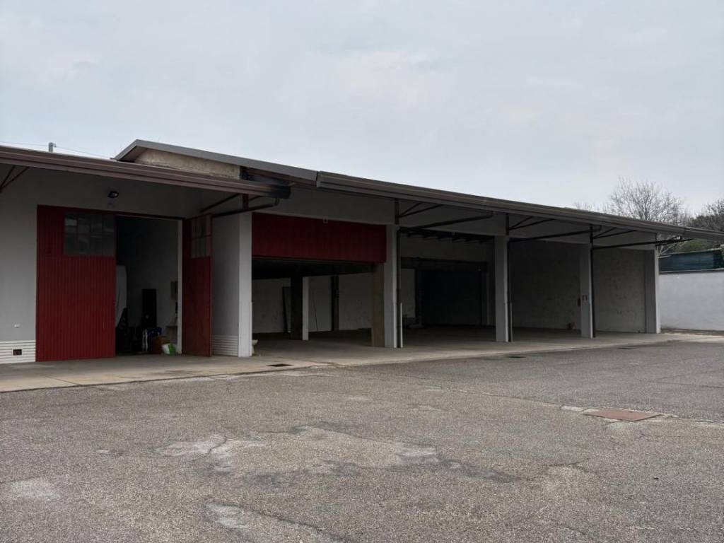 immagine annuncio 3 di 5