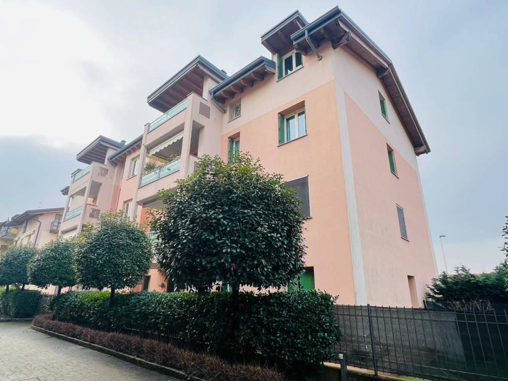 immagine annuncio 3 di 5