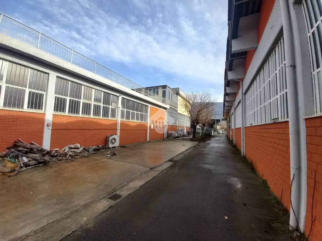 immagine annuncio 3 di 5