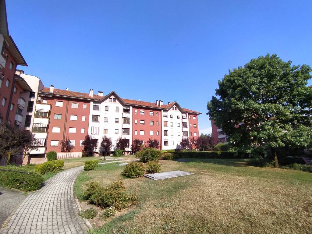 immagine annuncio 4 di 5