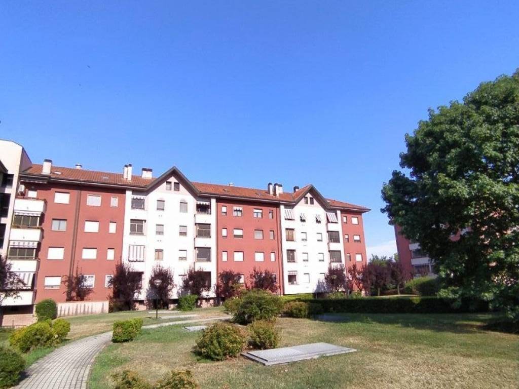 immagine annuncio 2 di 5