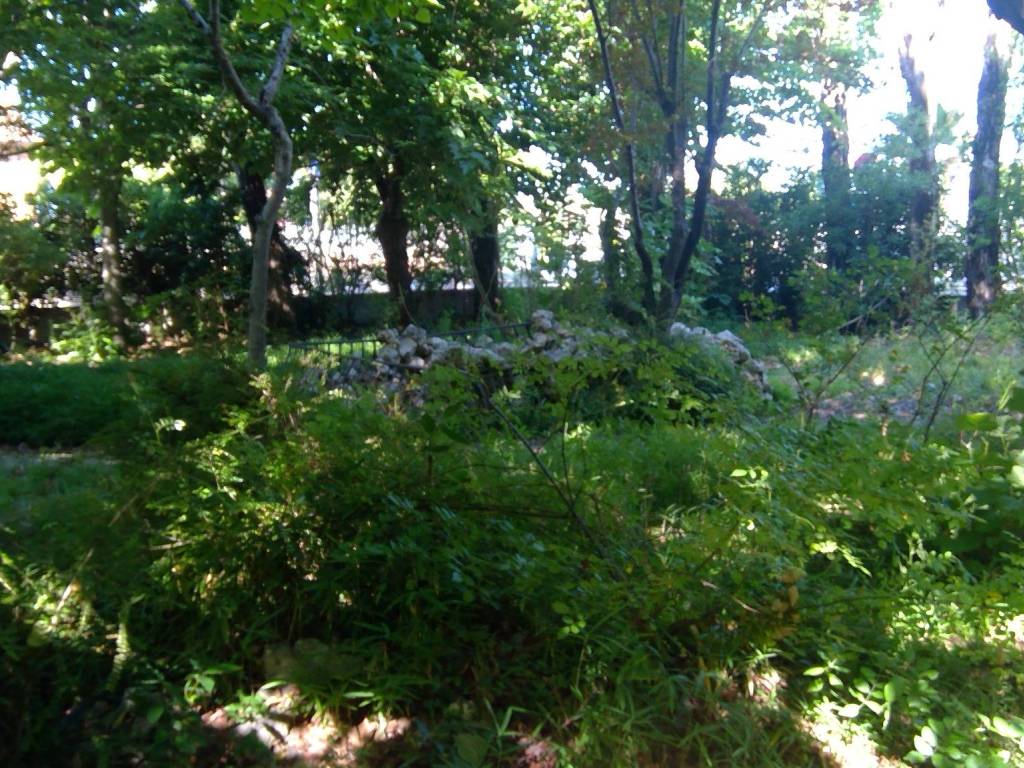 immagine annuncio 2 di 4