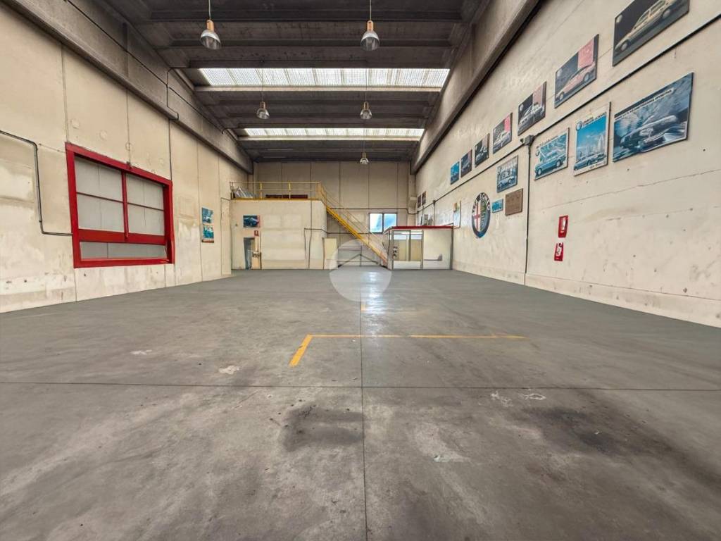 immagine annuncio 1 di 5