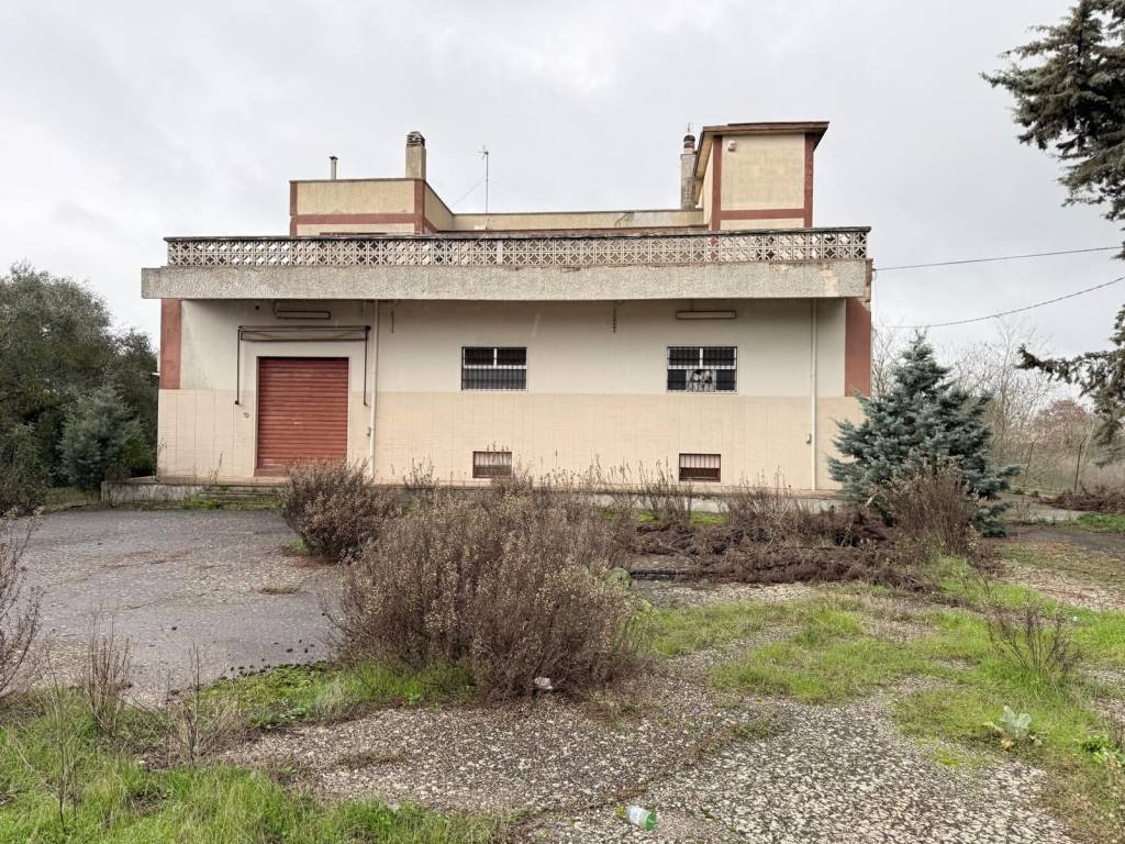 immagine annuncio 4 di 5