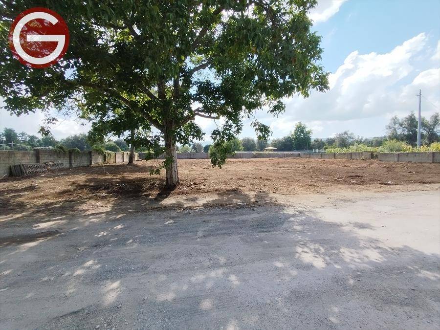 immagine annuncio 0 di 4