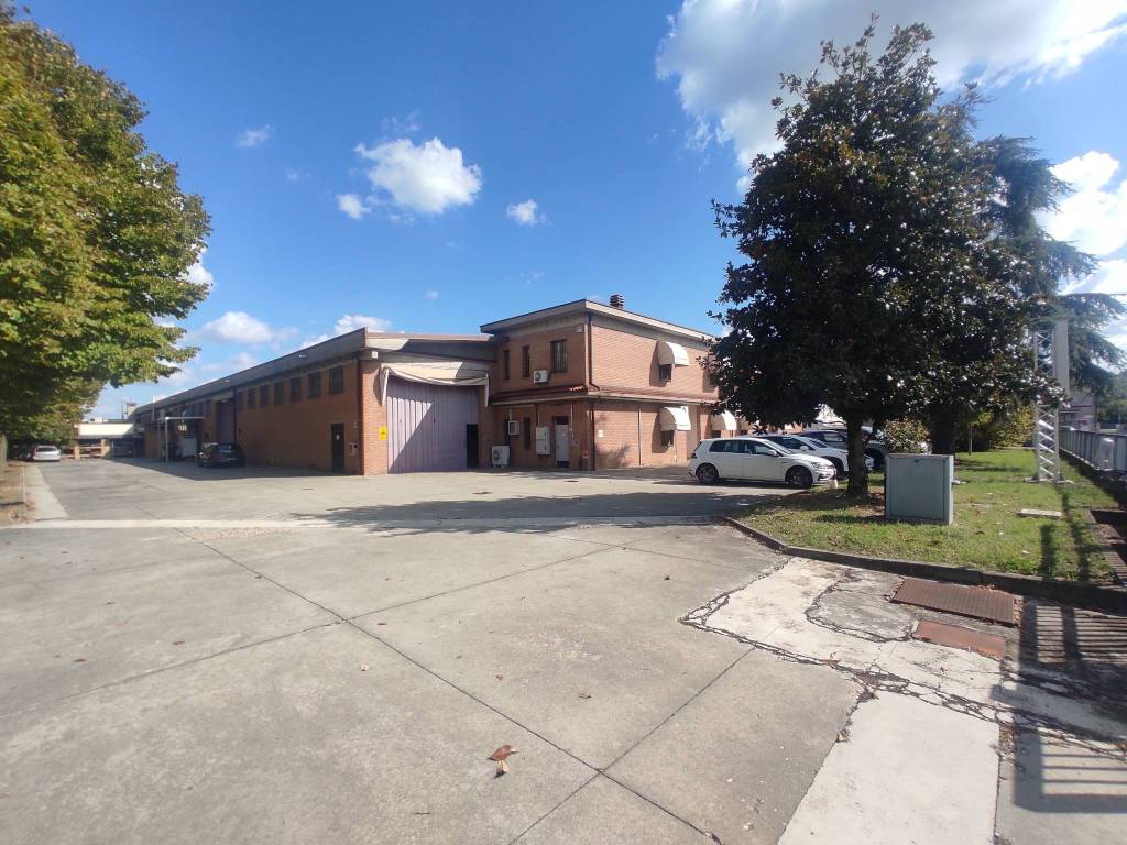 immagine annuncio 2 di 5