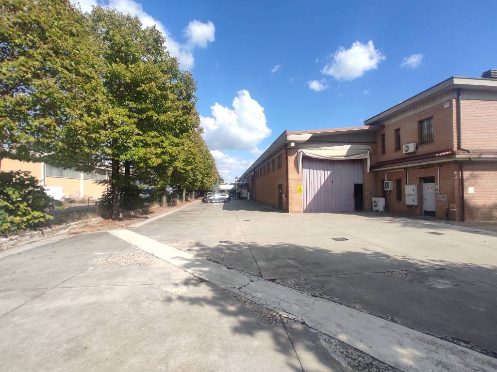 immagine annuncio 4 di 5