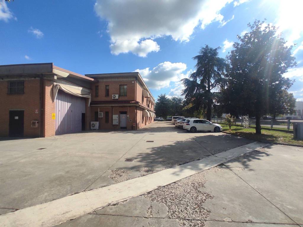 immagine annuncio 3 di 5