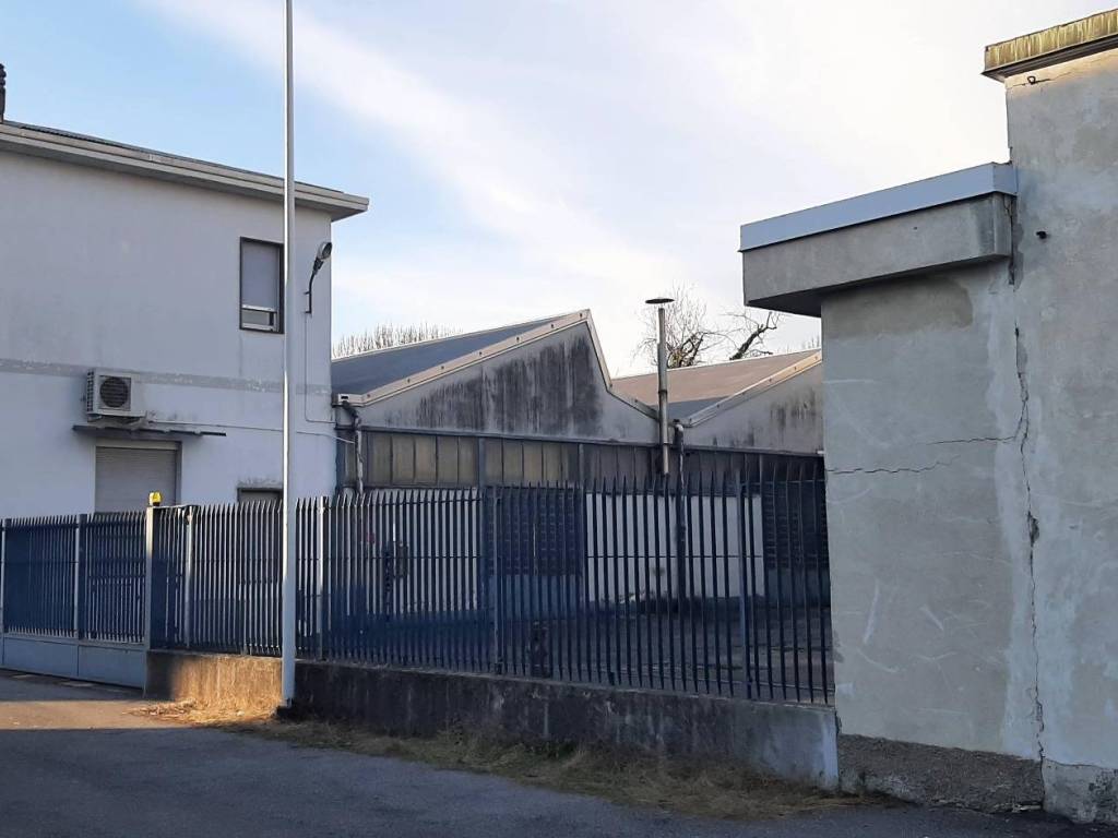 immagine annuncio 3 di 5