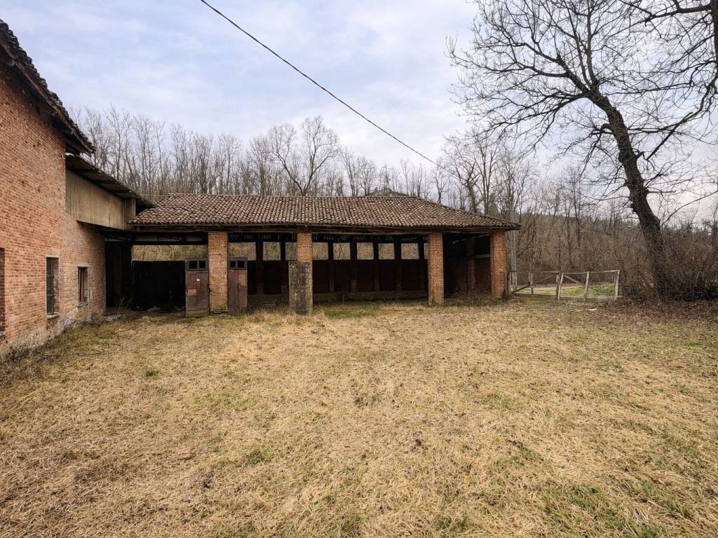 immagine annuncio 1 di 5