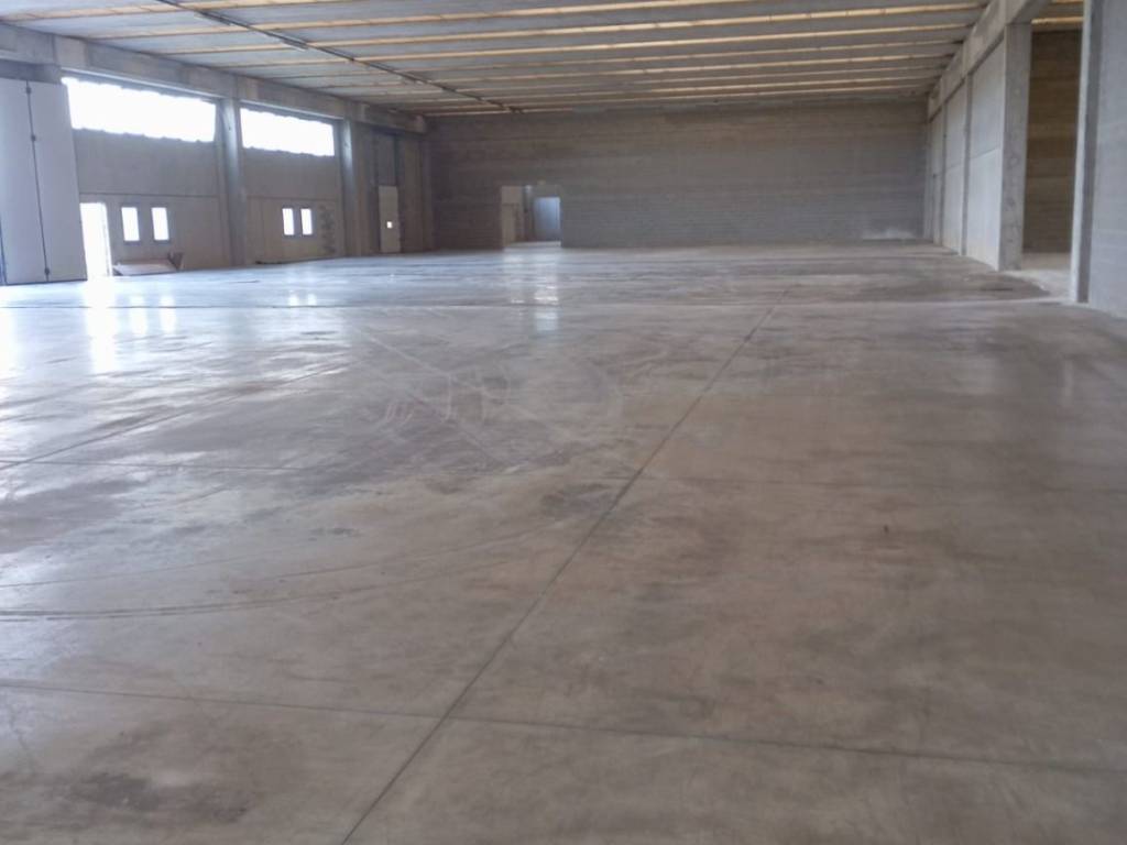 immagine annuncio 2 di 4