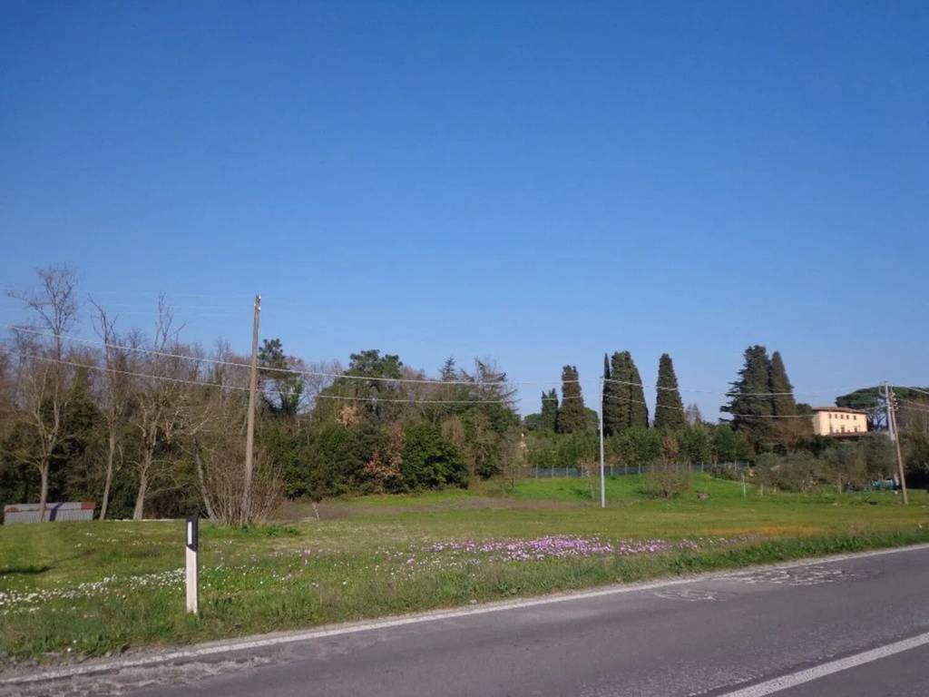 immagine annuncio 1 di 4