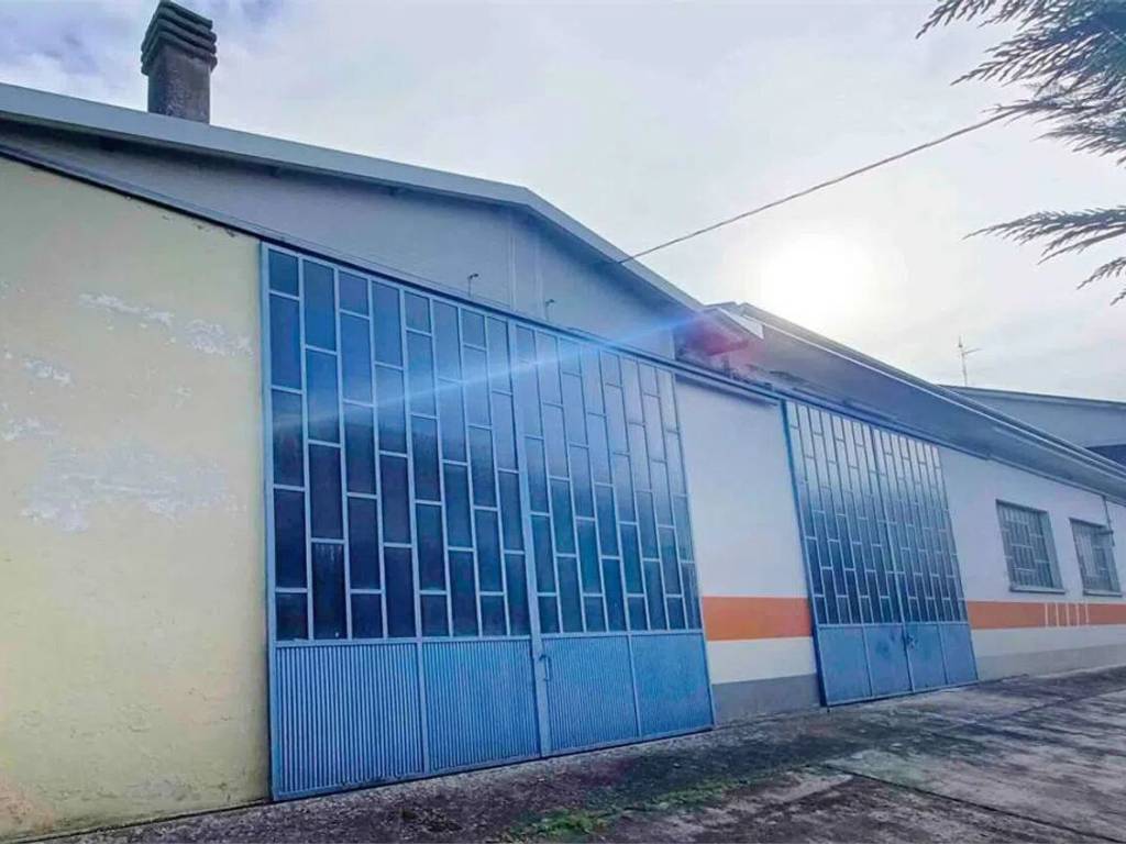 immagine annuncio 2 di 5