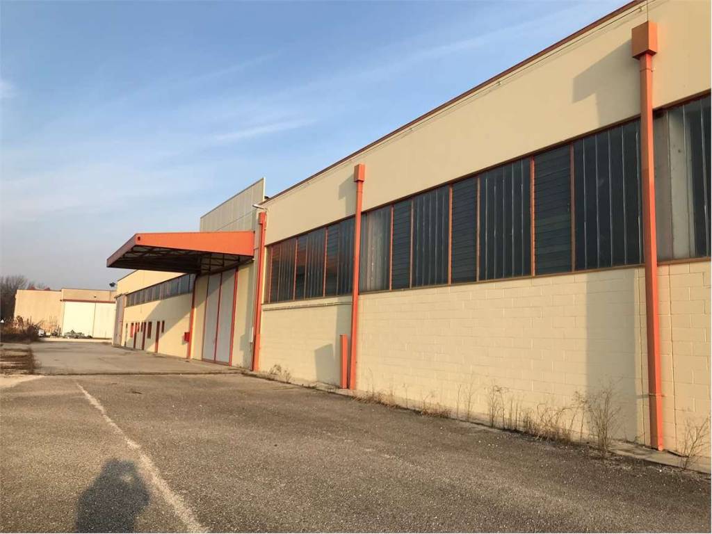 immagine annuncio 2 di 3