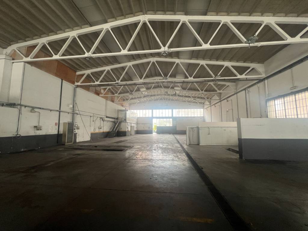 immagine annuncio 3 di 5