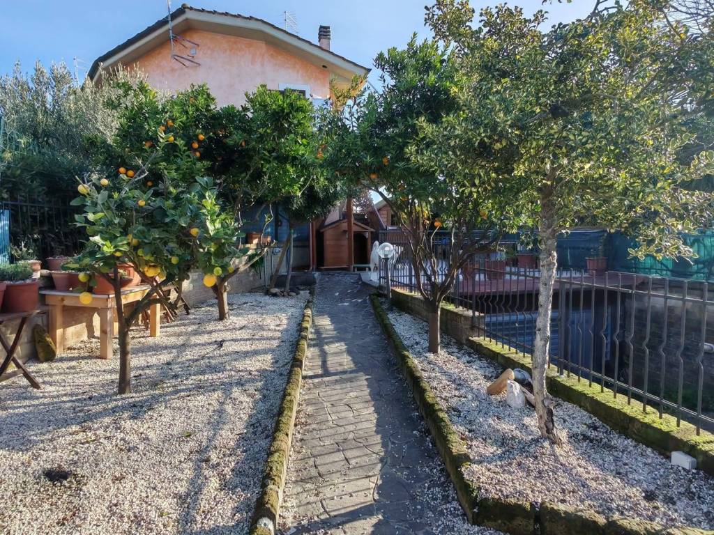 immagine annuncio 3 di 5