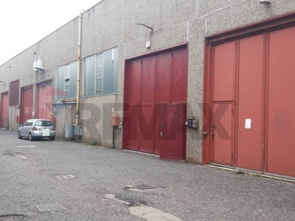 immagine annuncio 3 di 5