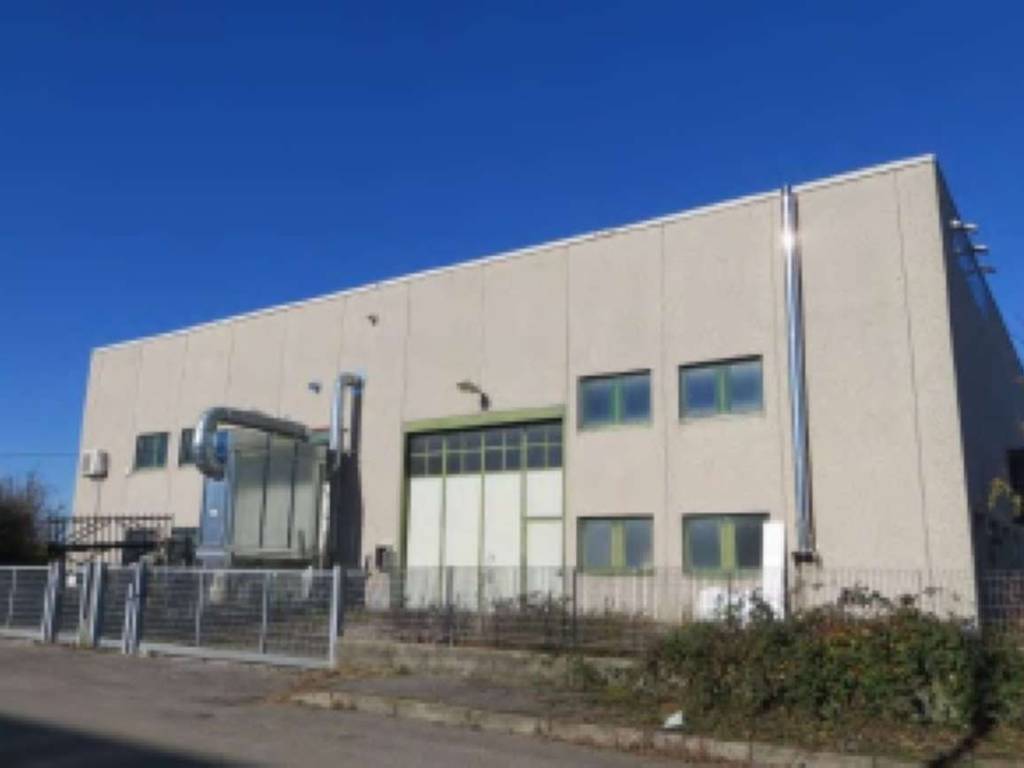 immagine annuncio 3 di 5