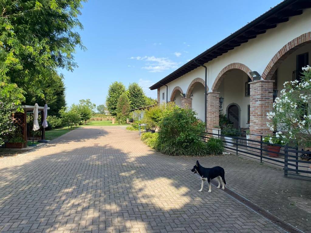 immagine annuncio 4 di 5