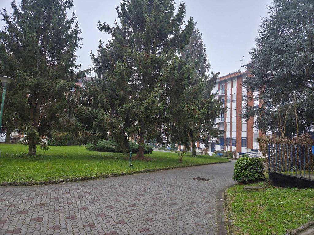 immagine annuncio 1 di 5