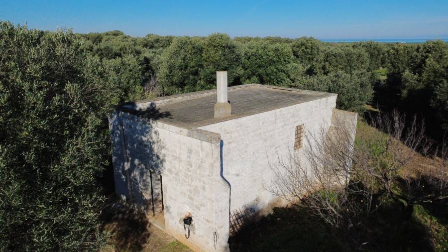 immagine annuncio 1 di 5