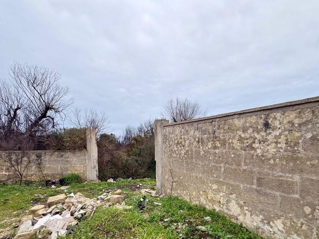 immagine annuncio 1 di 4