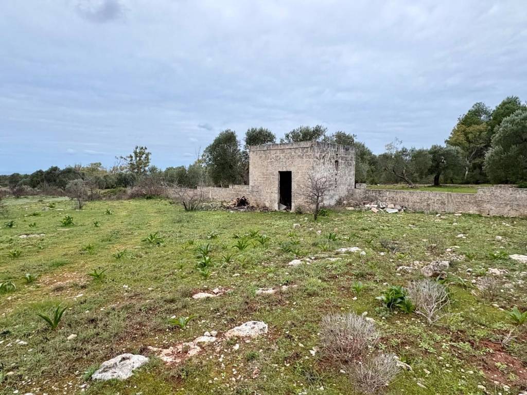 immagine annuncio 2 di 4