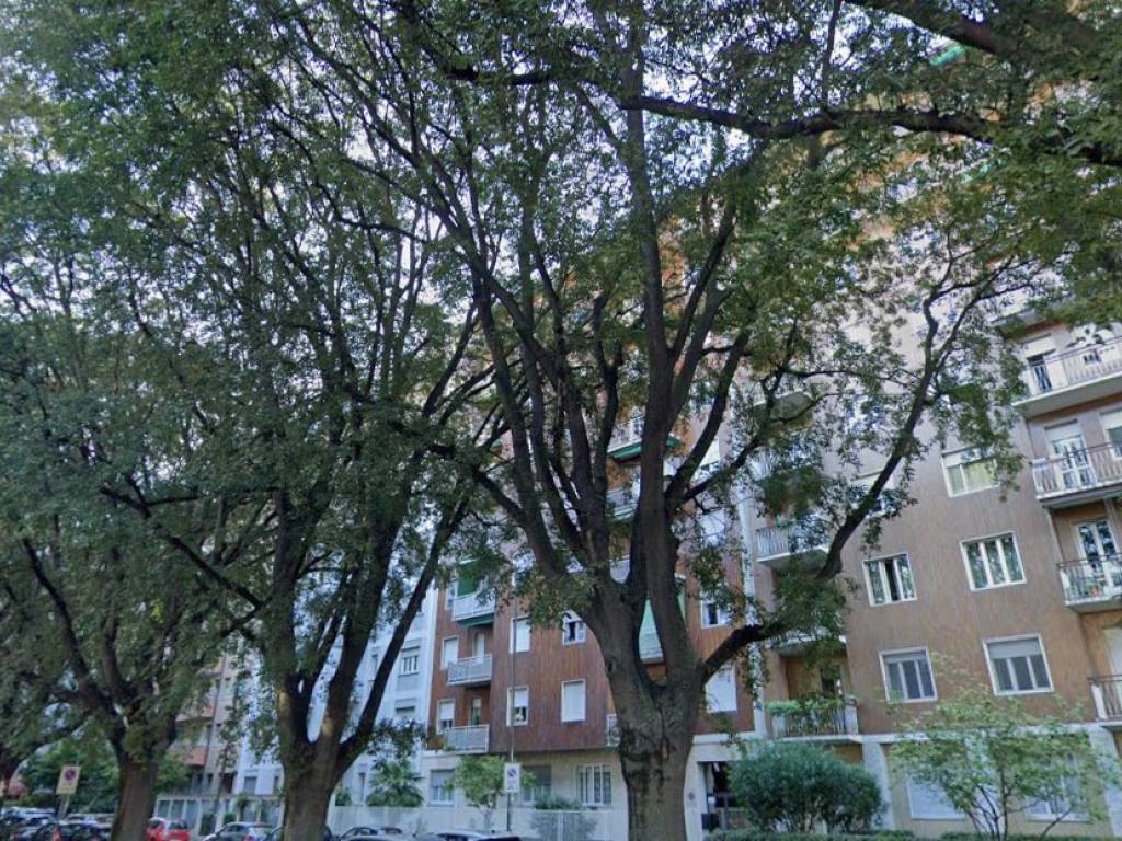 immagine annuncio 1 di 2