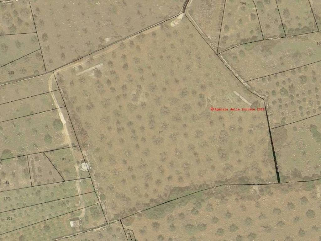 immagine annuncio 1 di 2