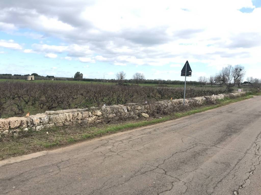 immagine annuncio 1 di 4