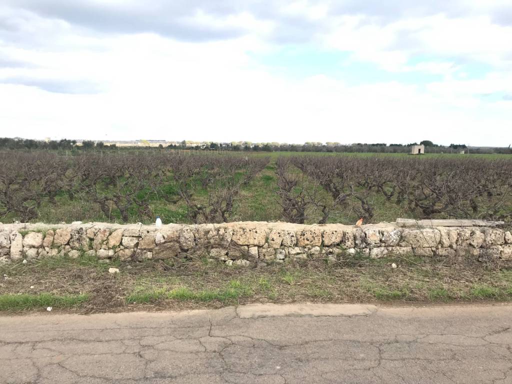 immagine annuncio 2 di 4