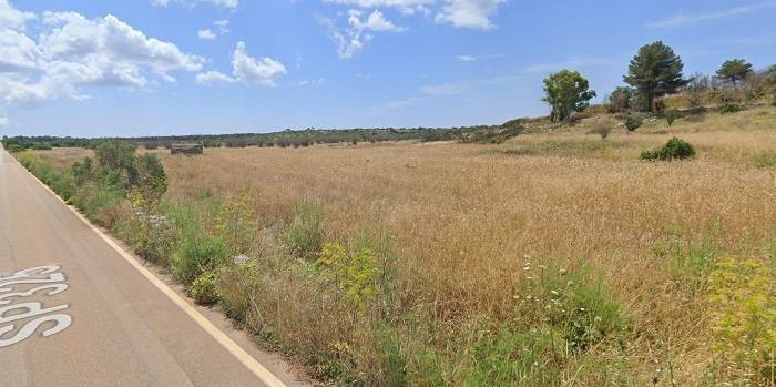 immagine annuncio 2 di 3