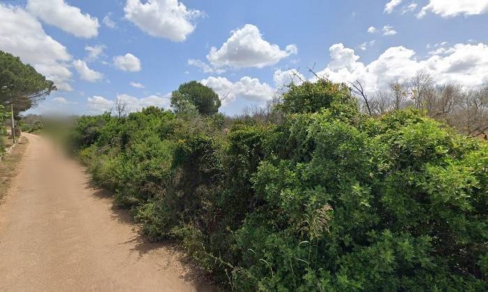 immagine annuncio 1 di 4