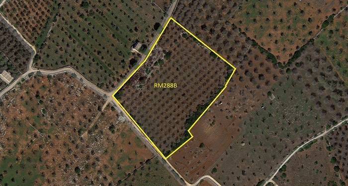 immagine annuncio 3 di 4