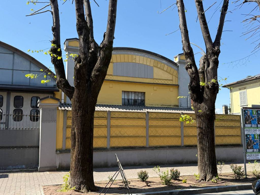 immagine annuncio 2 di 5