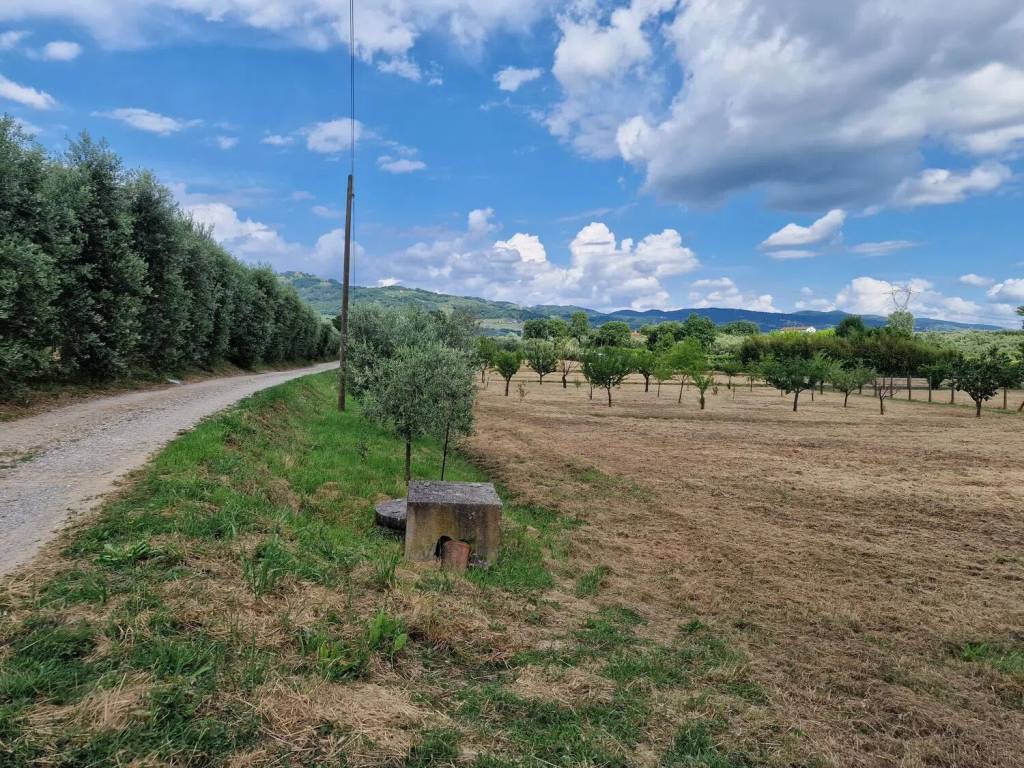 immagine annuncio 1 di 3