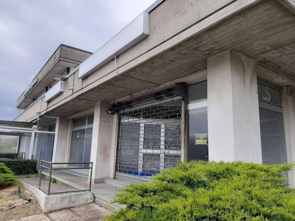 immagine annuncio 0 di 5