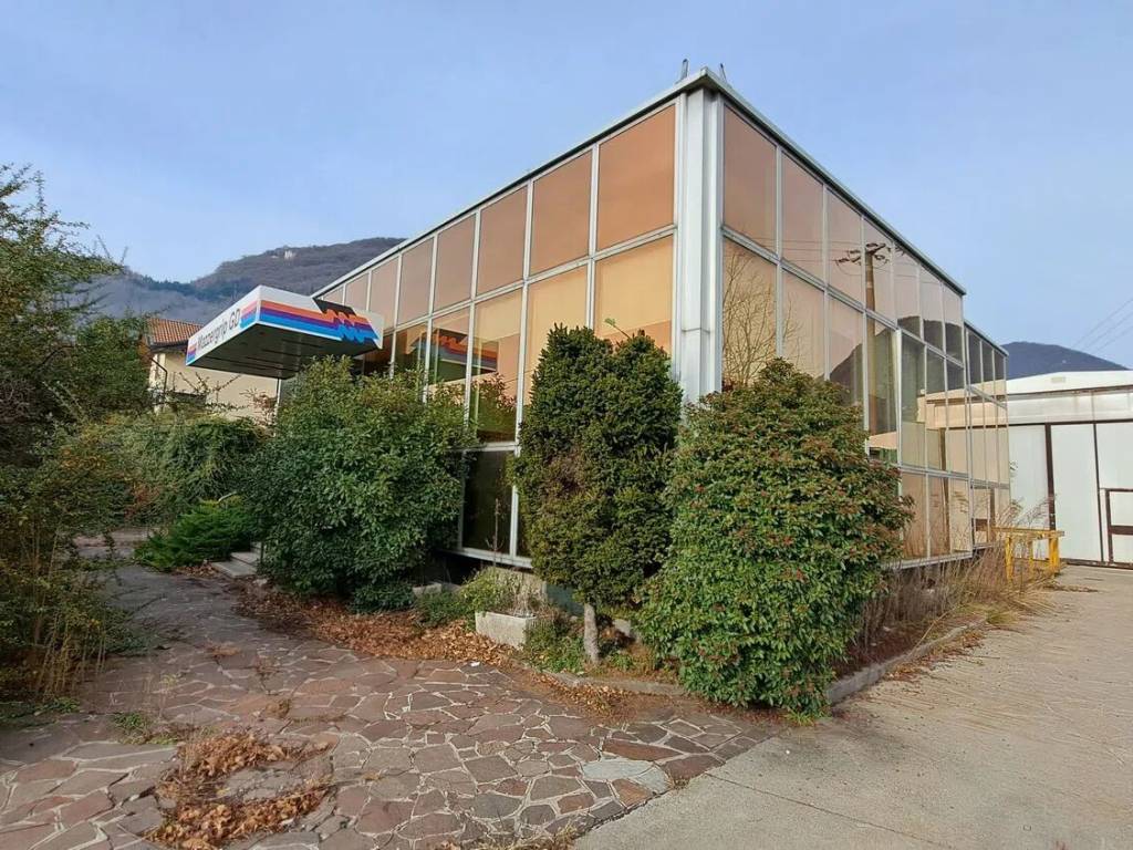 immagine annuncio 2 di 5