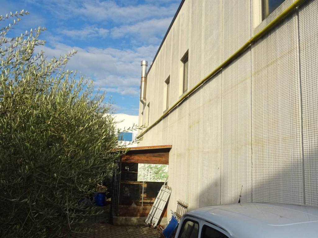 immagine annuncio 2 di 3