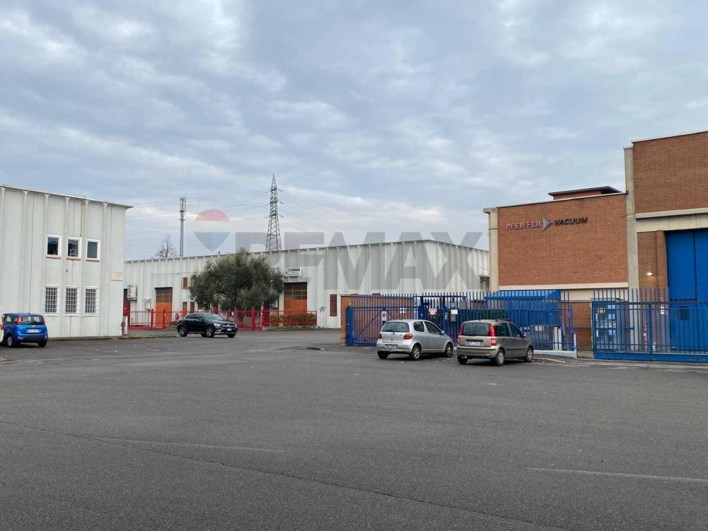 immagine annuncio 2 di 5