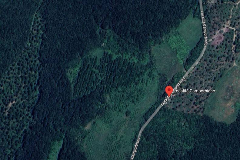 immagine annuncio 2 di 5