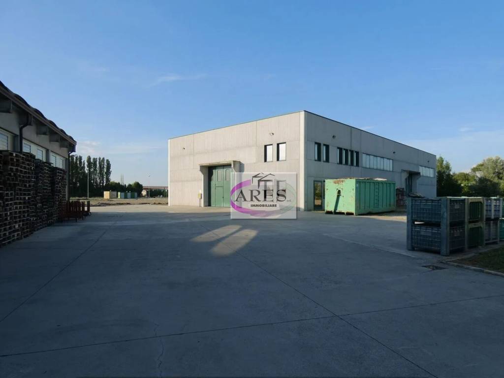 immagine annuncio 3 di 5