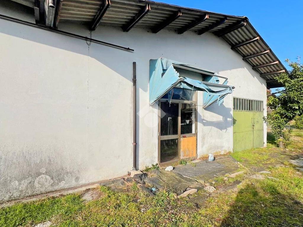 immagine annuncio 3 di 5