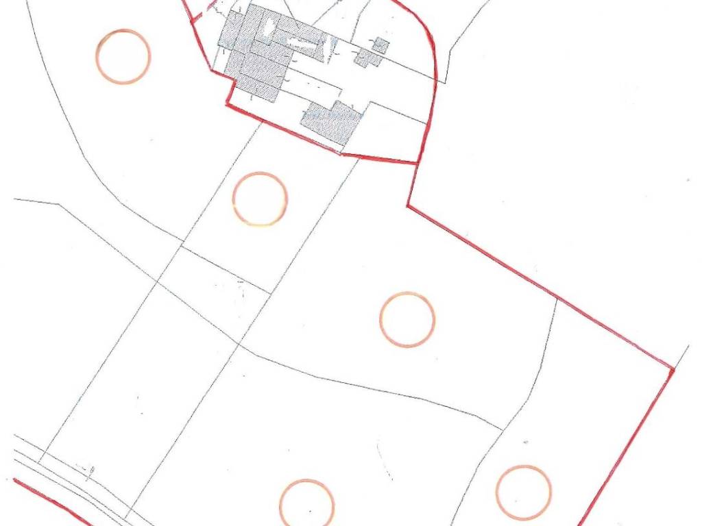 immagine annuncio 3 di 4