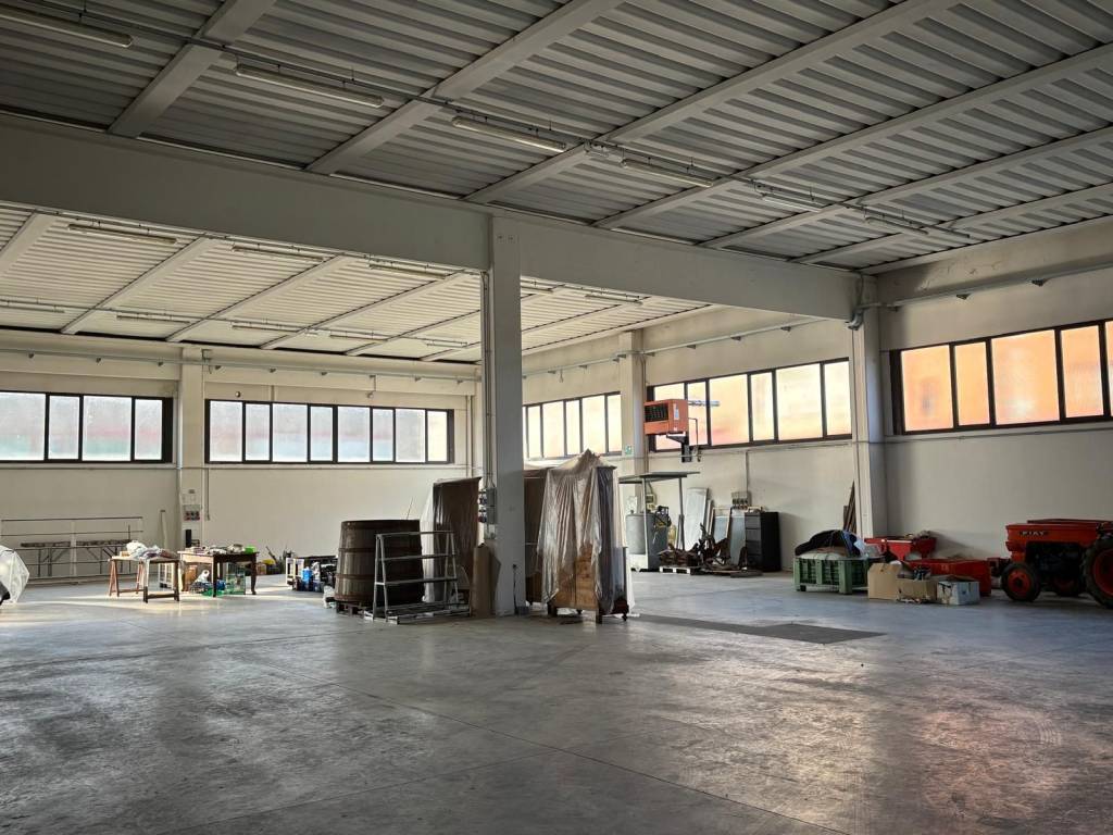 immagine annuncio 2 di 5