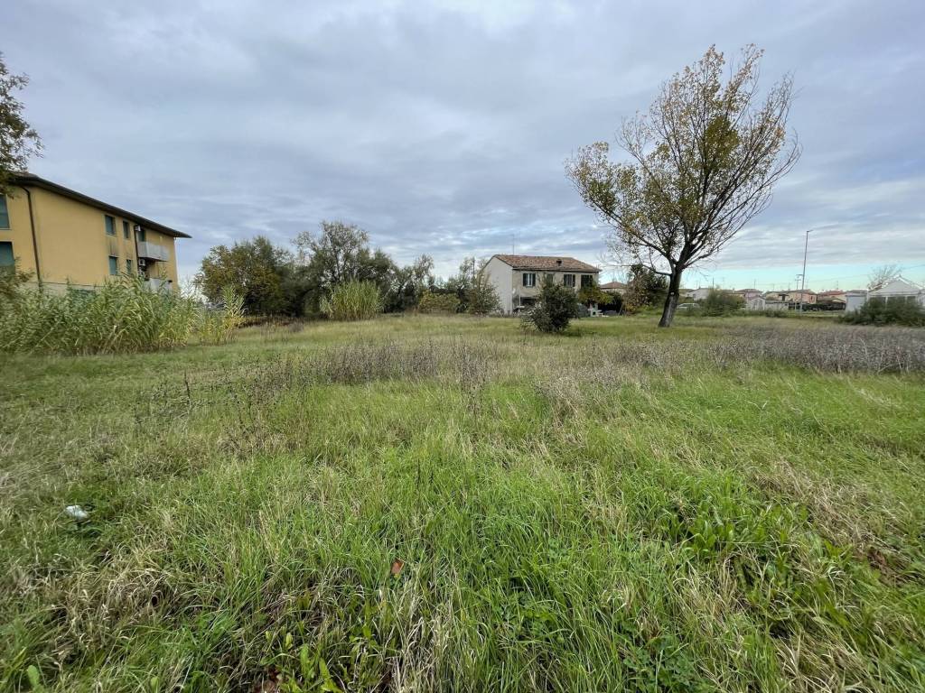 immagine annuncio 1 di 4