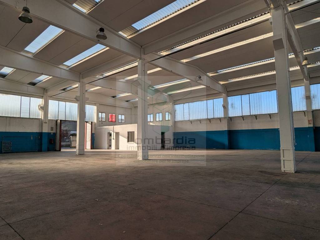 immagine annuncio 2 di 5